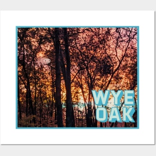 Wye Oak Posters and Art